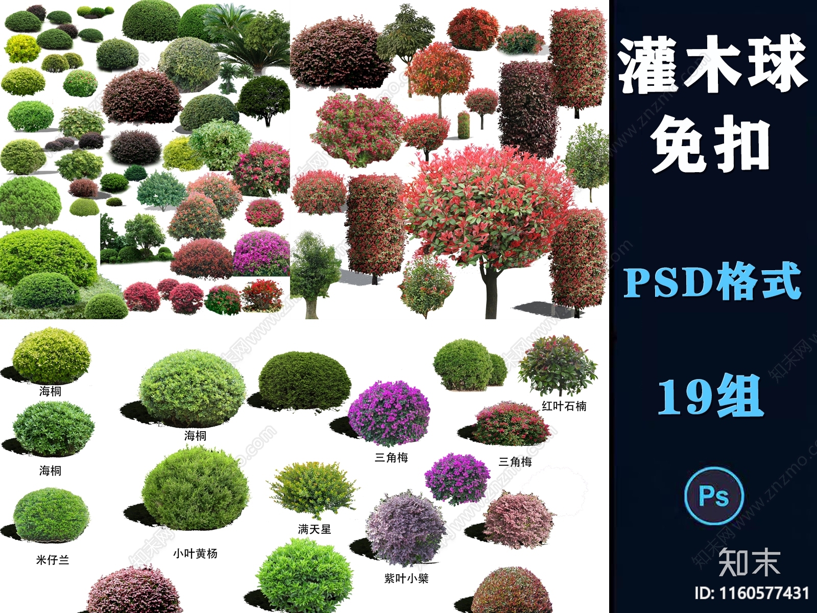 园林景观灌木球ps素材psd免抠效果图球形植物红檵木黄杨女贞石楠贴图下载【ID:1160577431】_【知末网贴图库】