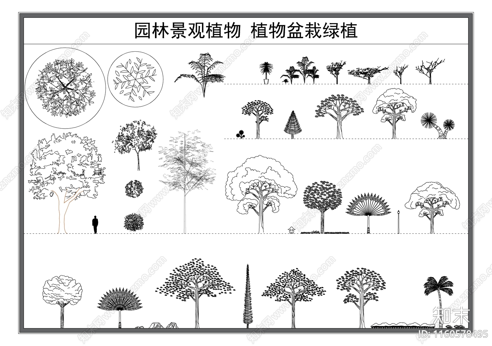 绿植施工图下载【ID:1160578495】