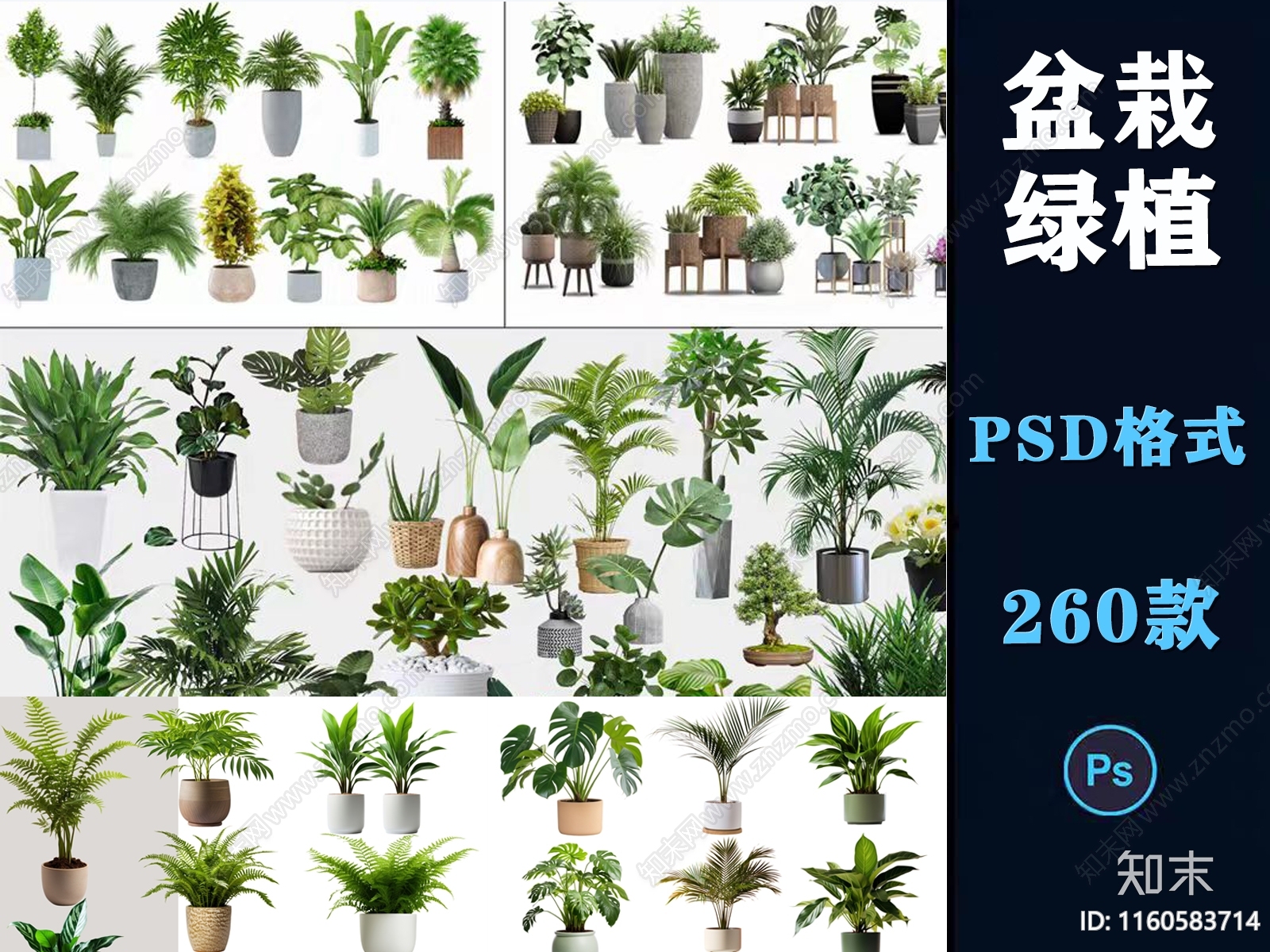 盆栽设计素材精品下载_知末网