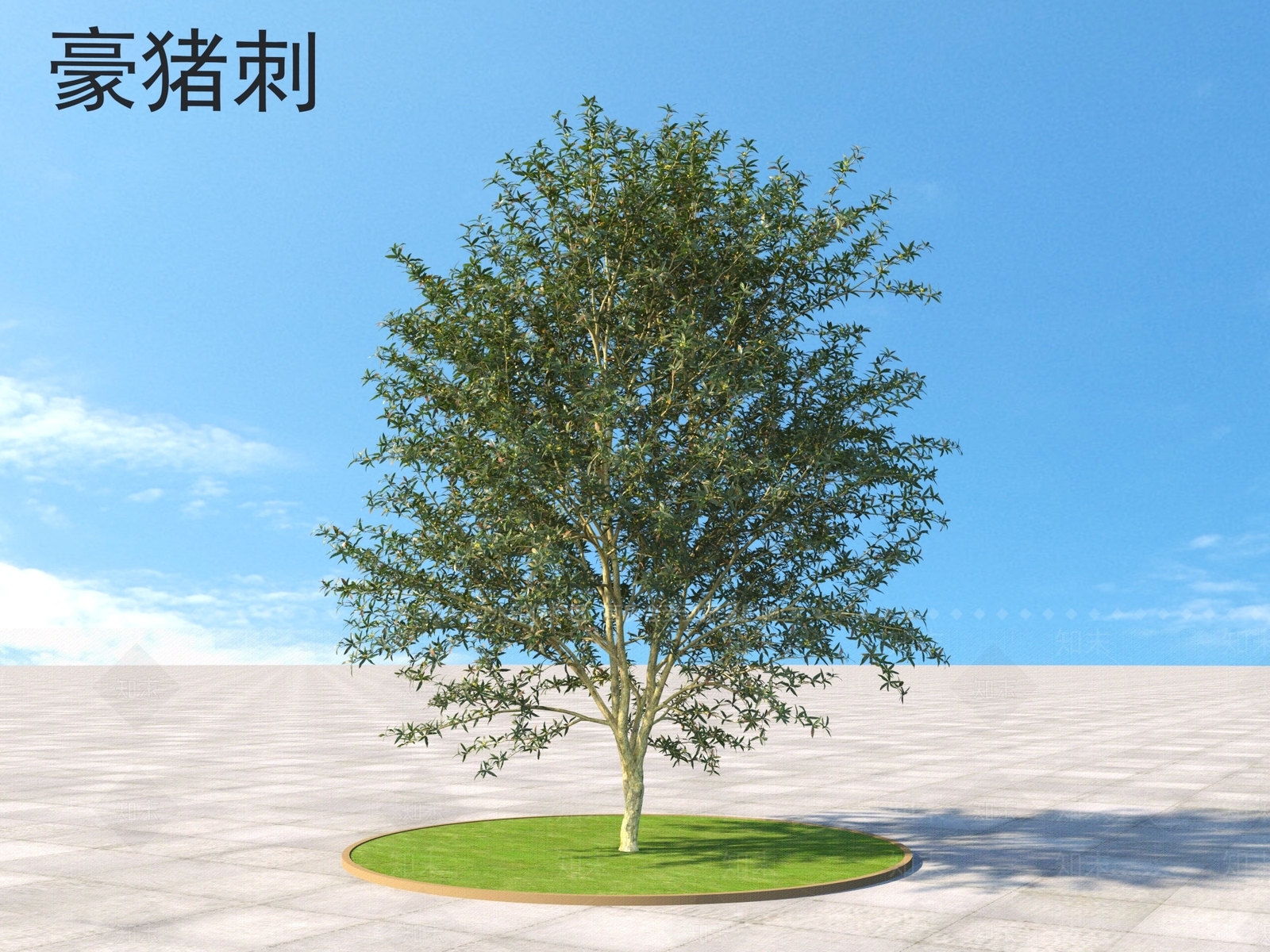 豪猪刺3D模型下载【ID:1160600011】