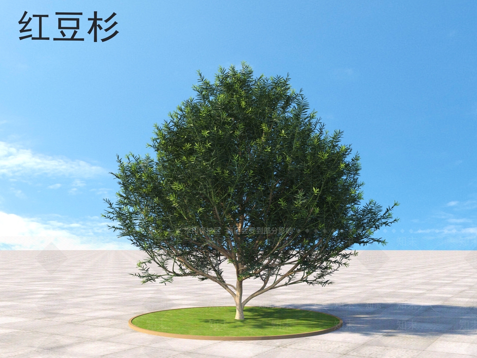 灌木3D模型下载【ID:1160612089】