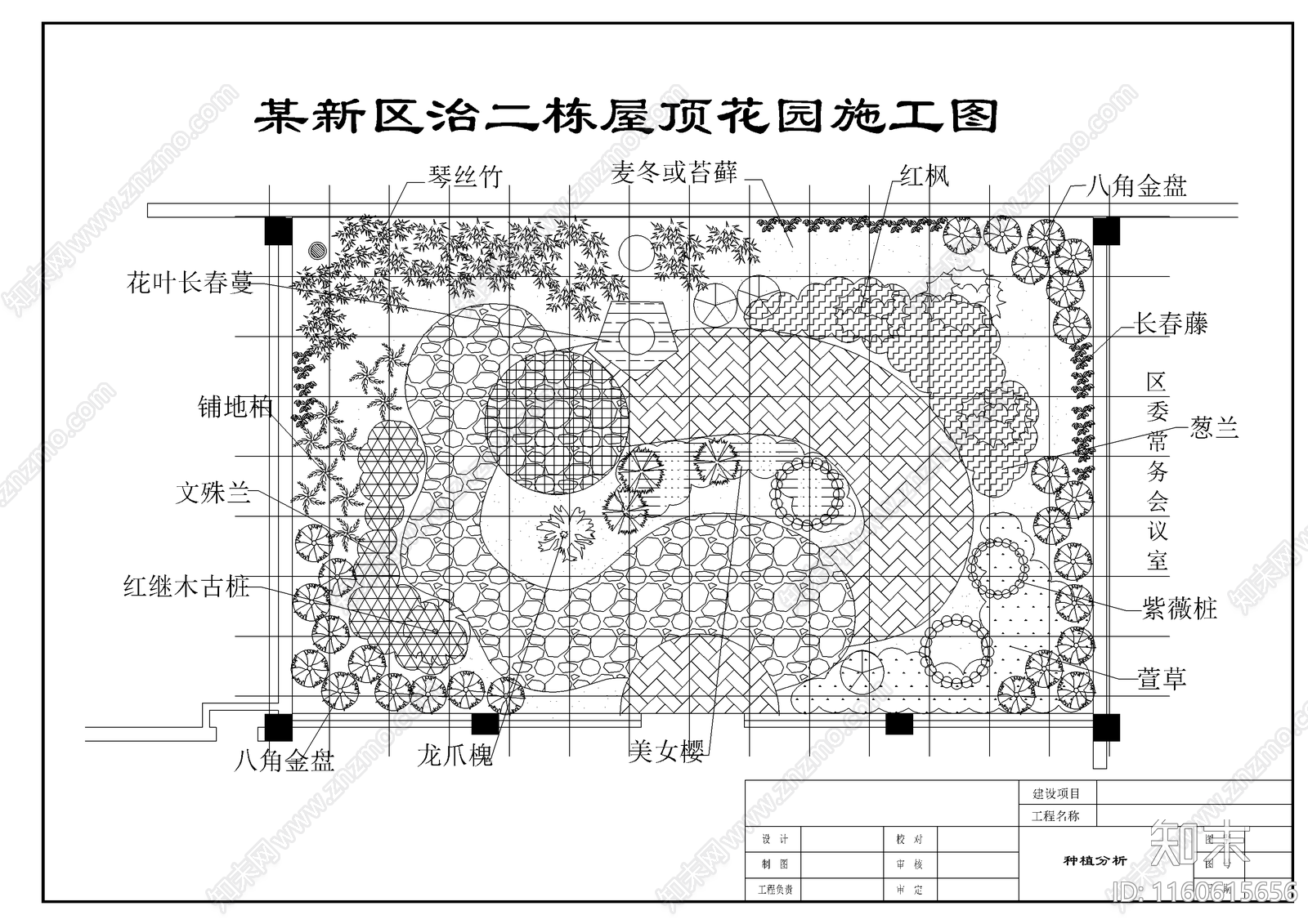 某新区二栋屋顶花园绿化平面布置图施工图下载【ID:1160615656】