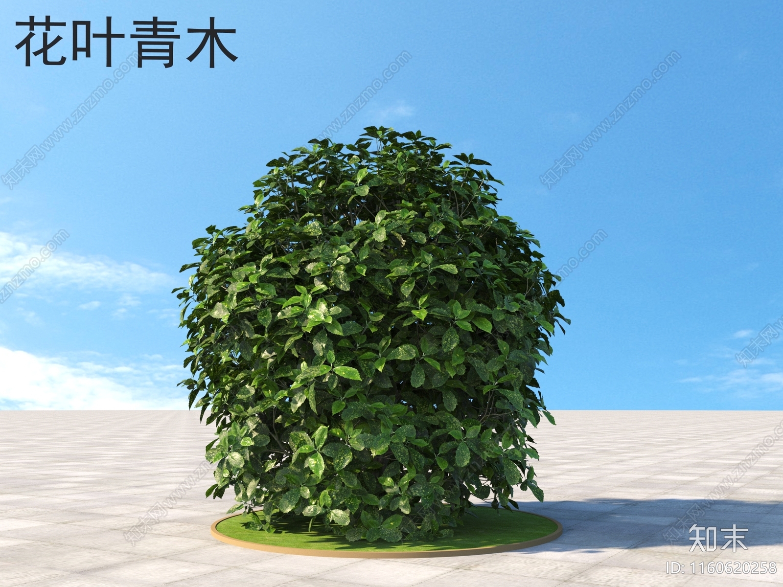 灌木3D模型下载【ID:1160620258】