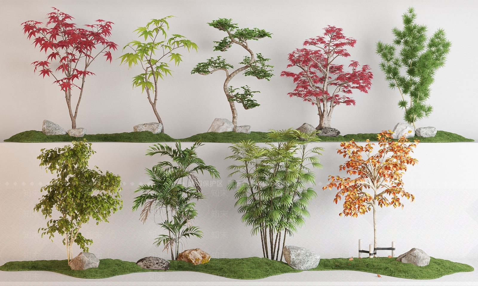 枫叶树植物组合SU模型下载【ID:1160623111】