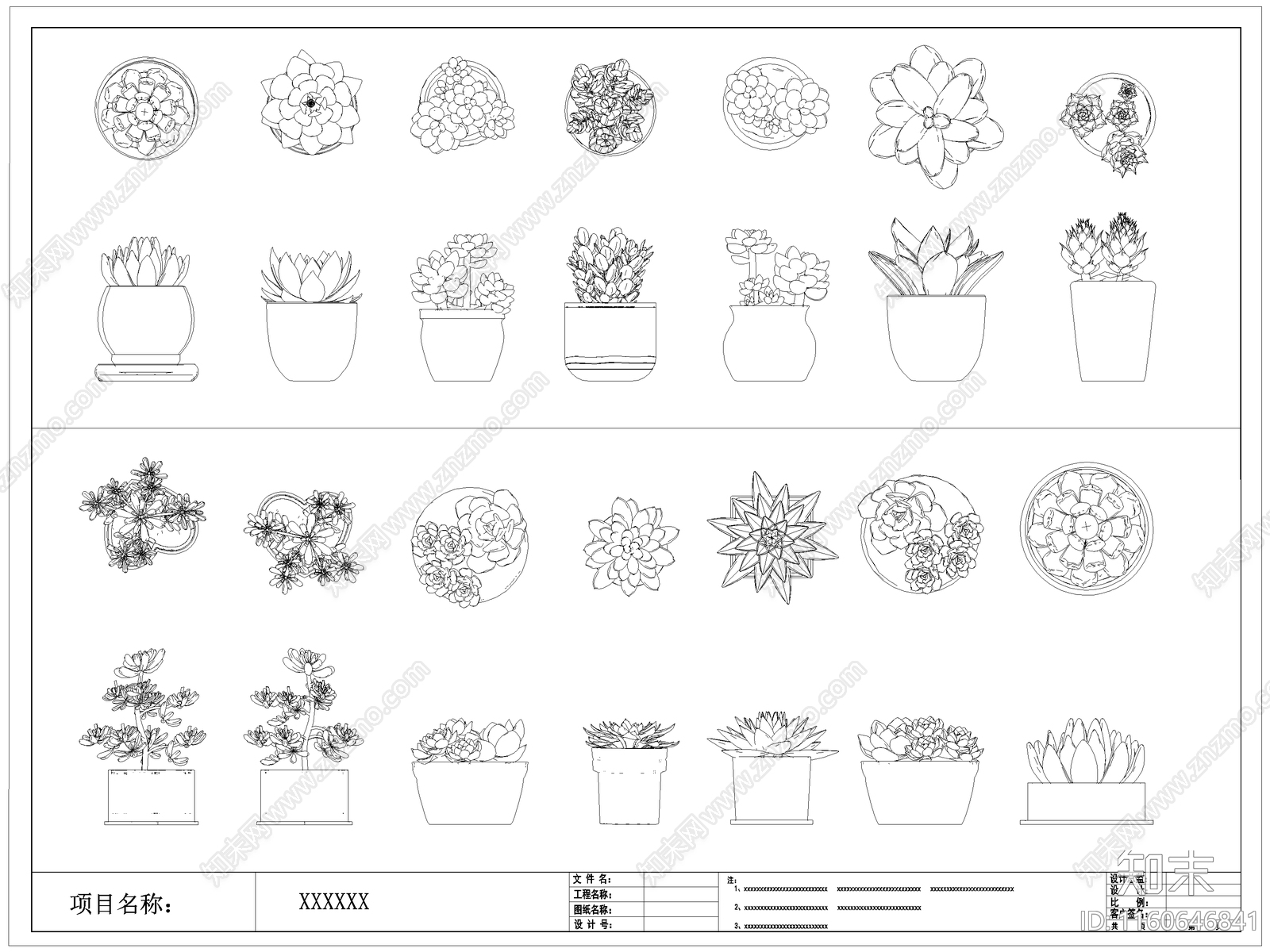 现代多肉盆栽图库施工图下载【ID:1160646841】