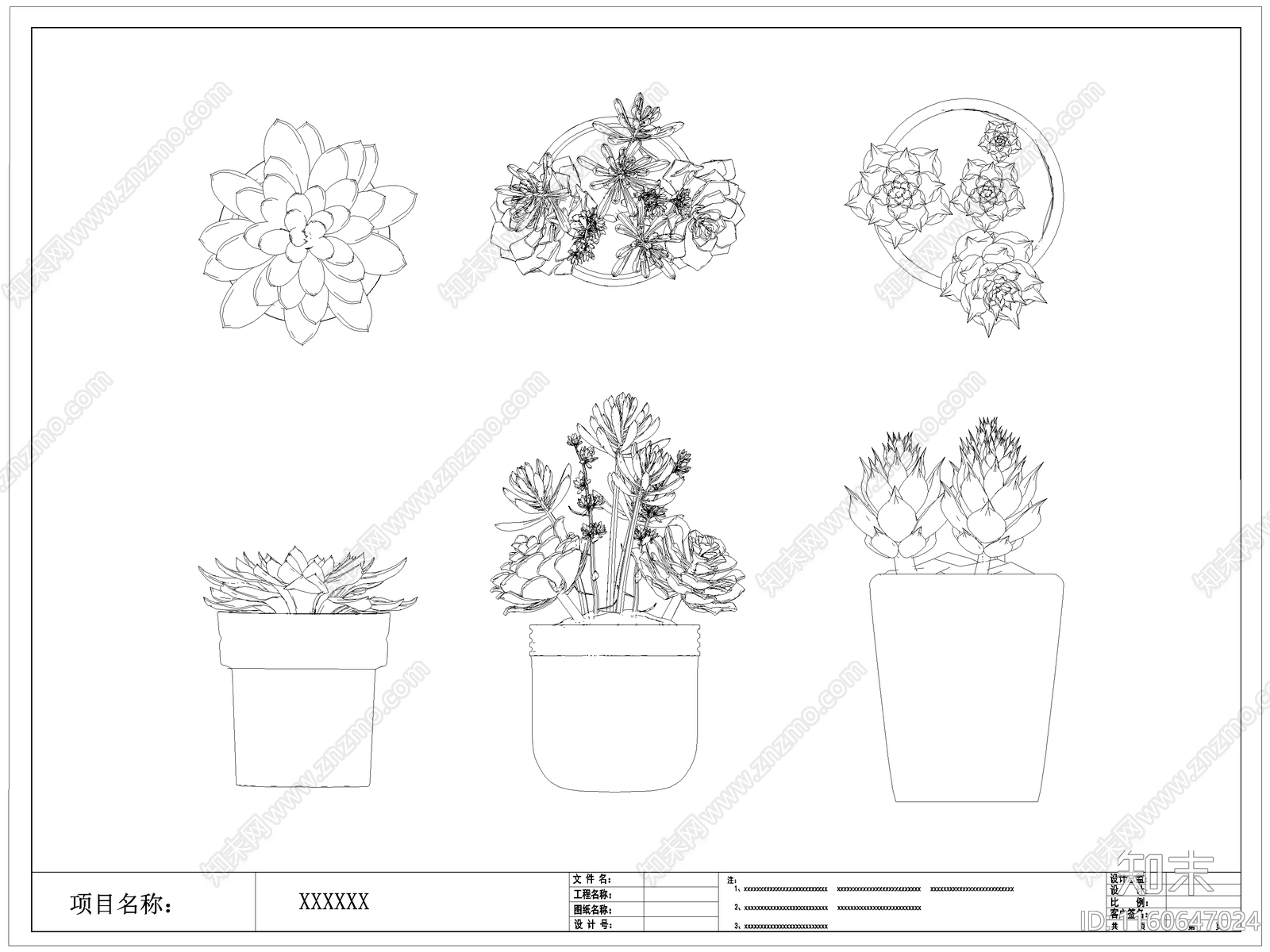 现代多肉盆栽图库施工图下载【ID:1160647024】