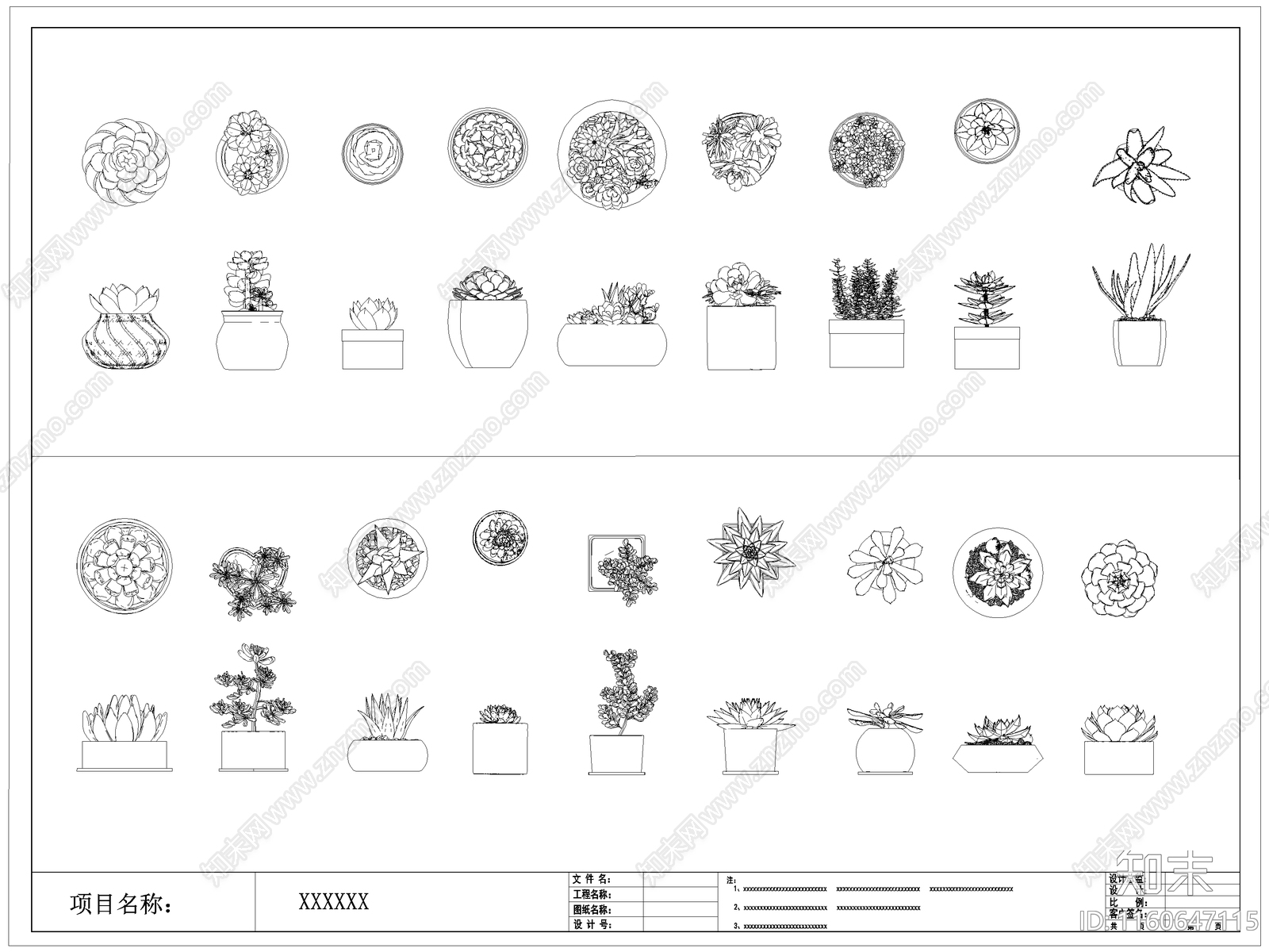现代多肉盆栽图库施工图下载【ID:1160647115】
