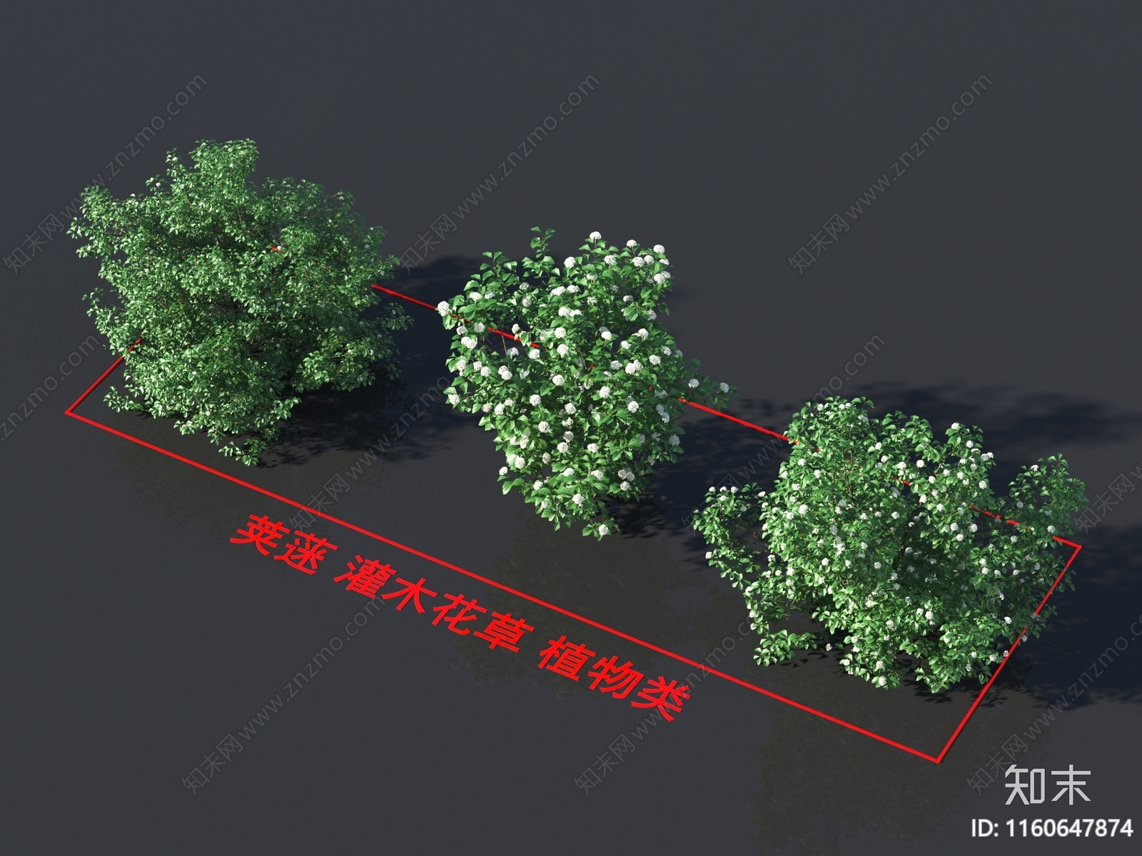 荚蒾3D模型下载【ID:1160647874】