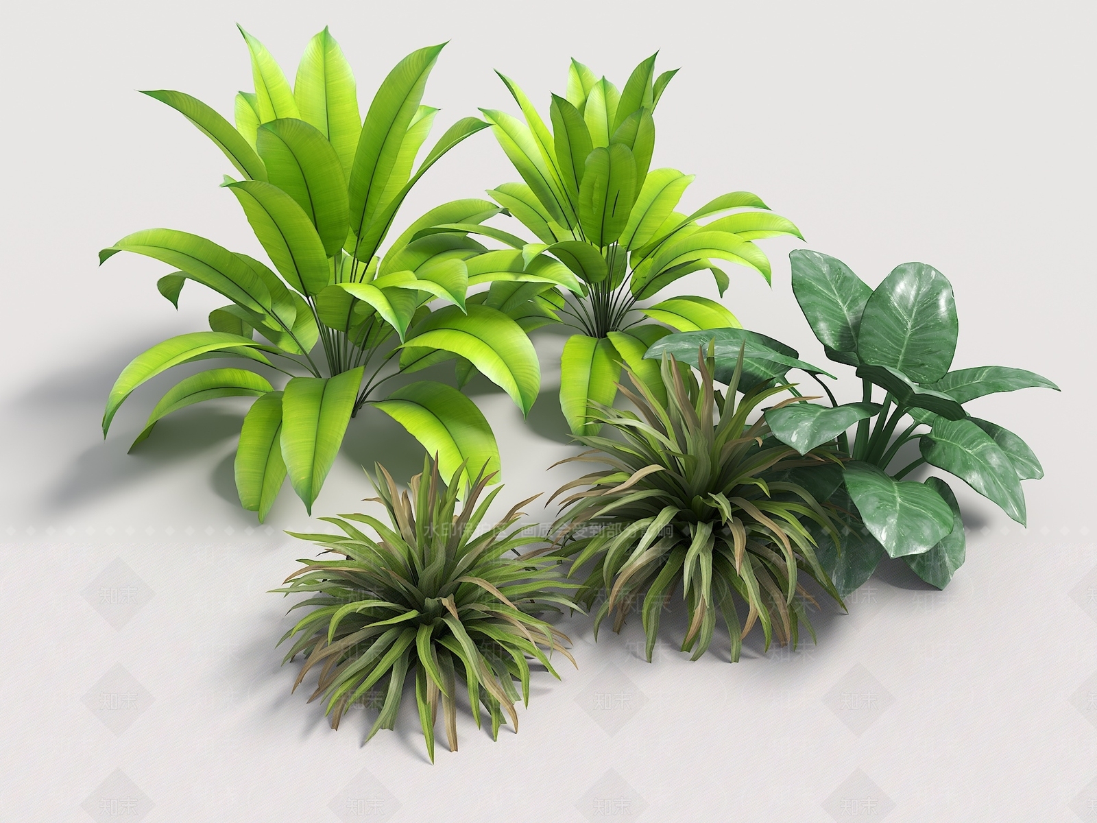 景观地被灌木SU模型下载【ID:1160661542】