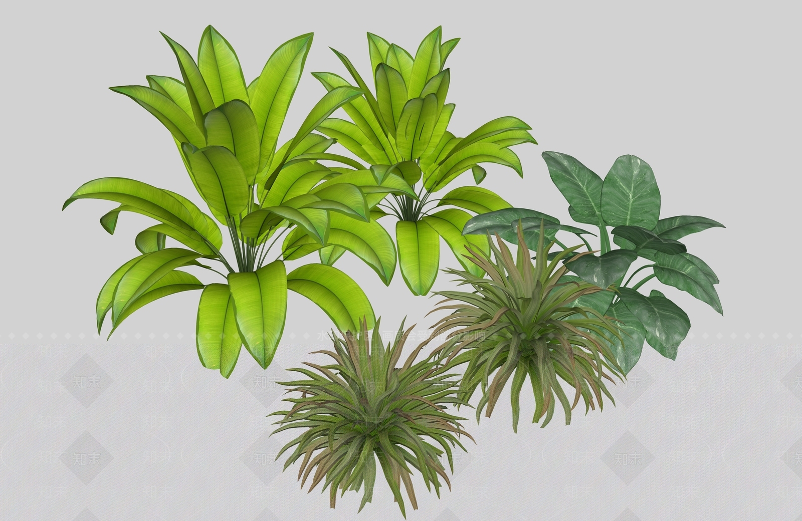景观地被灌木SU模型下载【ID:1160661542】