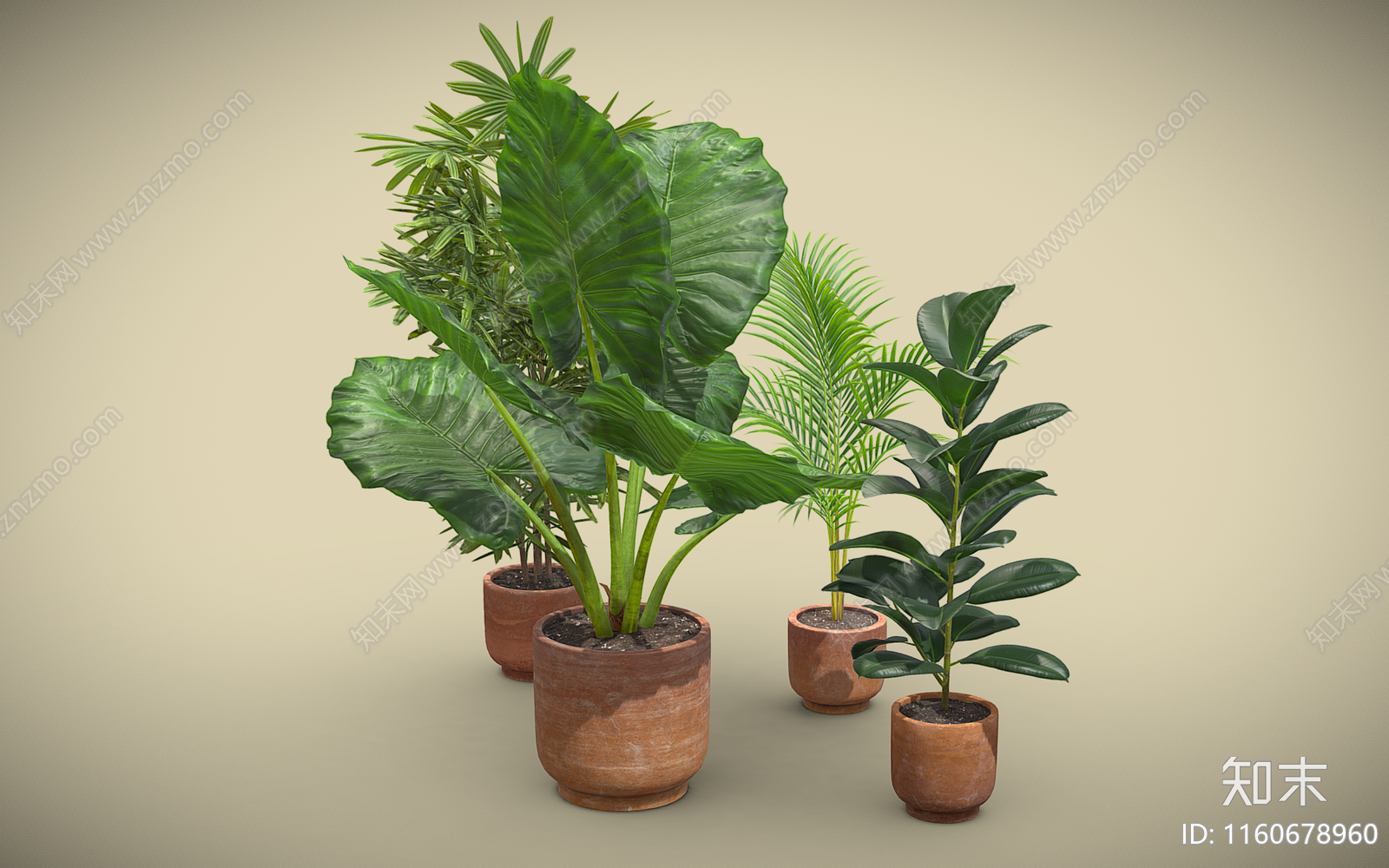 植物盆栽组合3D模型下载【ID:1160678960】