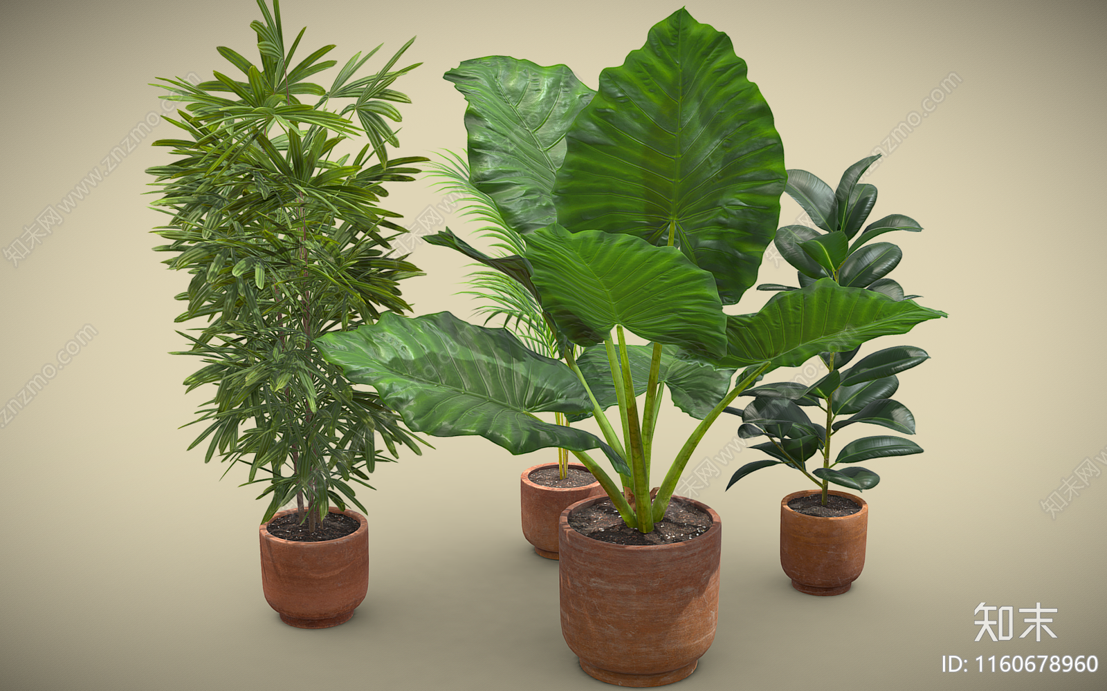 植物盆栽组合3D模型下载【ID:1160678960】