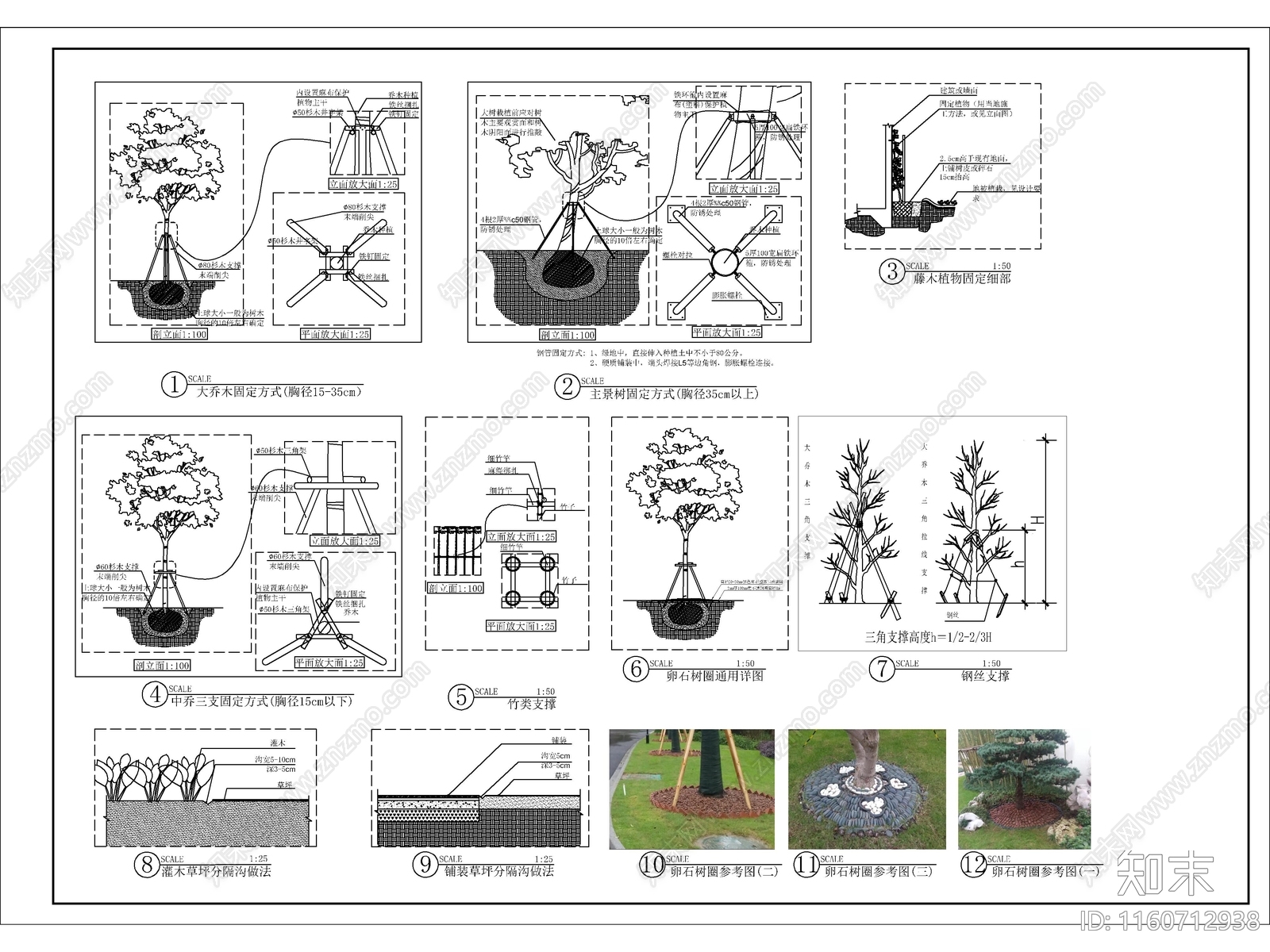 乔木藤本固定支撑详图施工图下载【ID:1160712938】