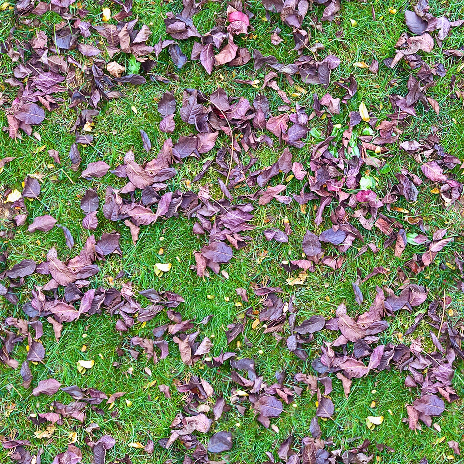 无缝枯枝落叶草皮草地草坪地面贴图下载【ID:1160734941】