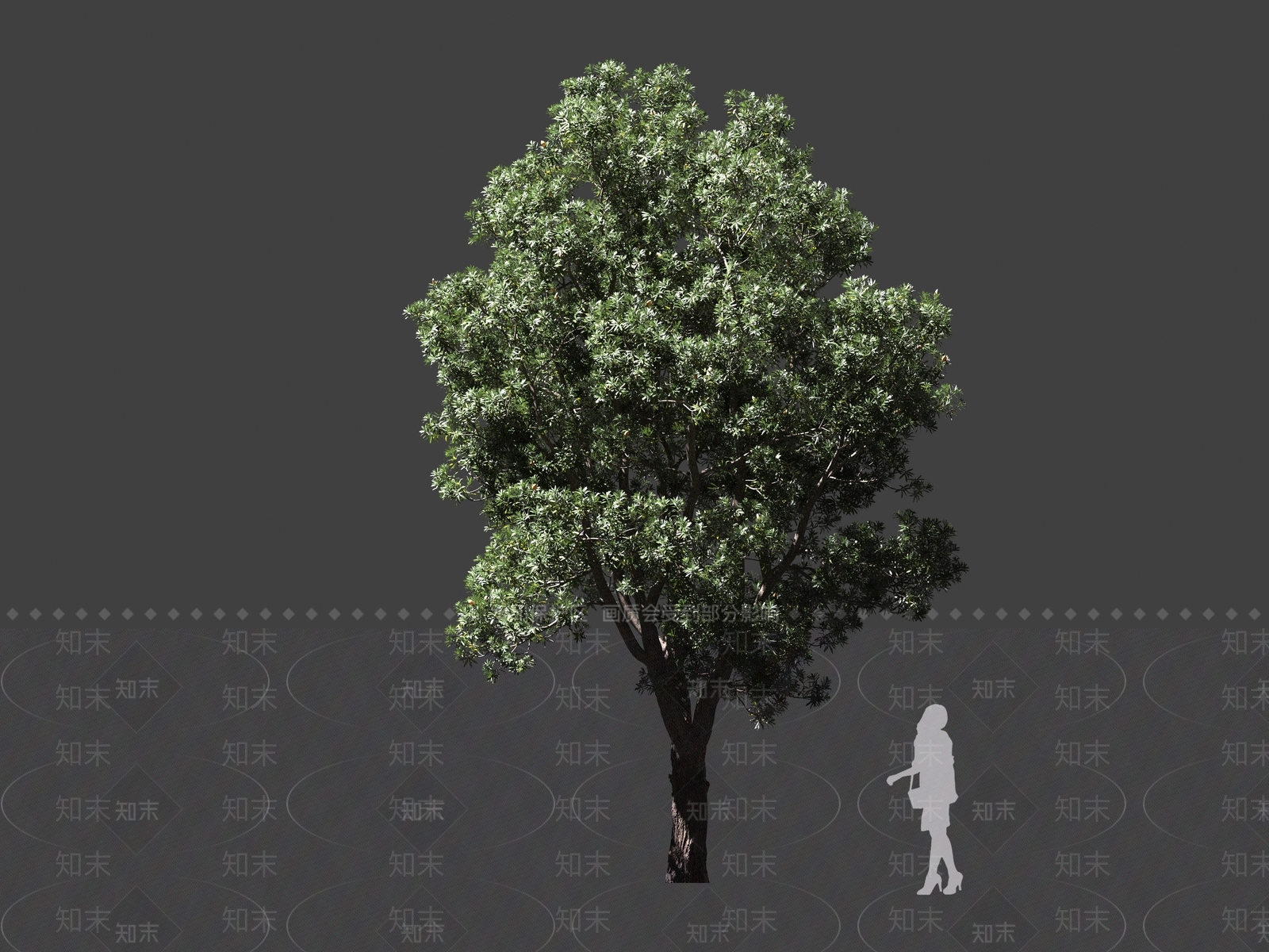 现代乔木3D模型下载【ID:1160747235】