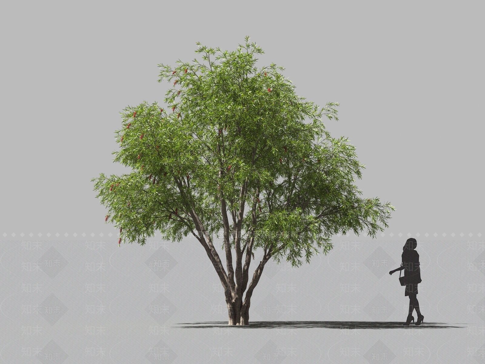 现代乔木3D模型下载【ID:1160750692】