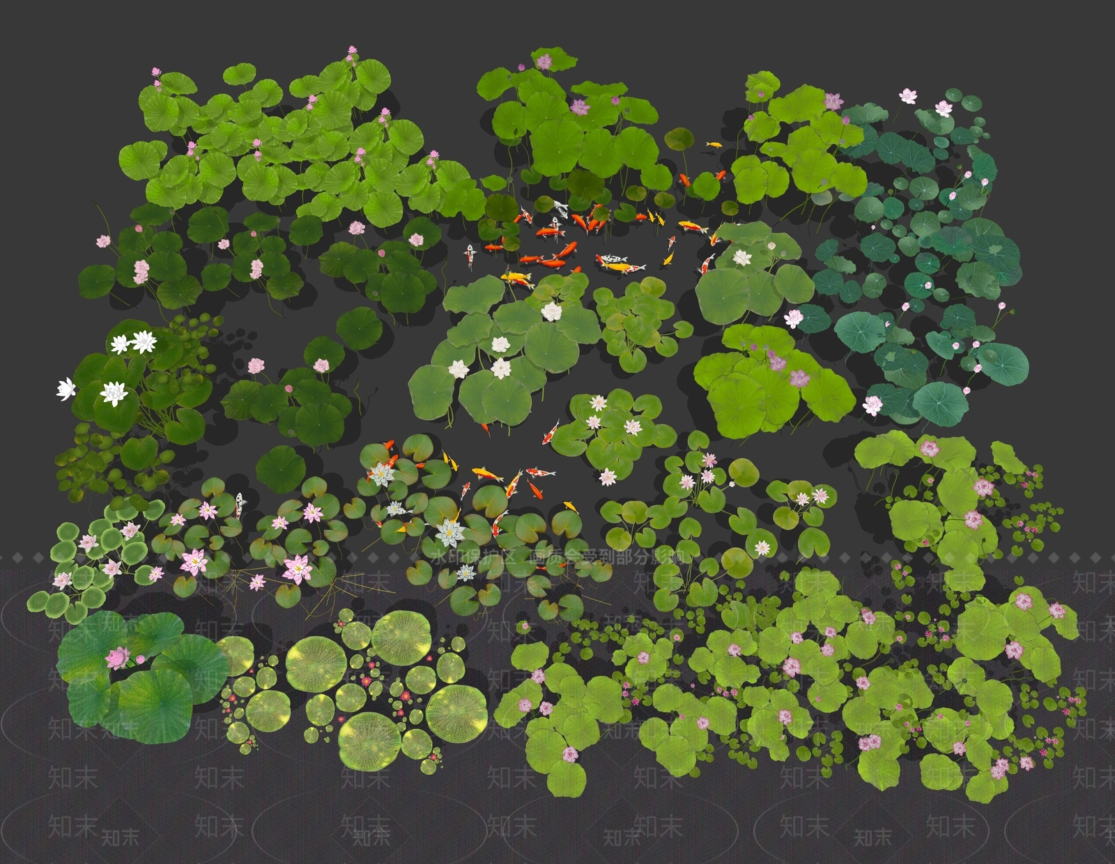 水生植物SU模型下载【ID:1160789995】