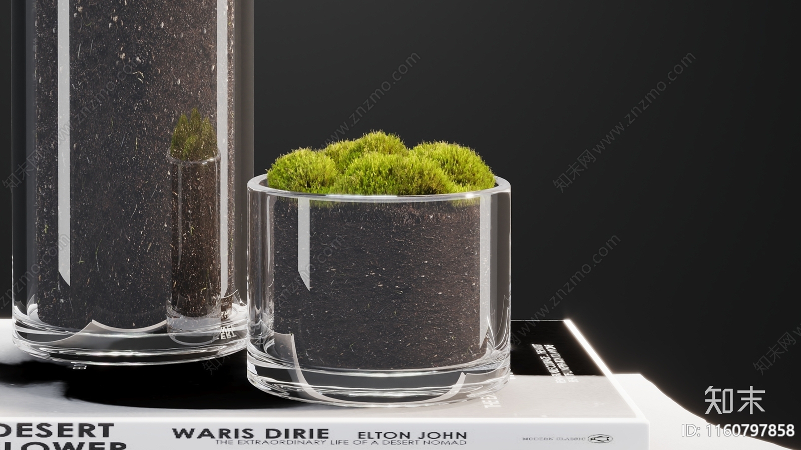 现代玻璃苔藓盆栽组合3D模型下载【ID:1160797858】