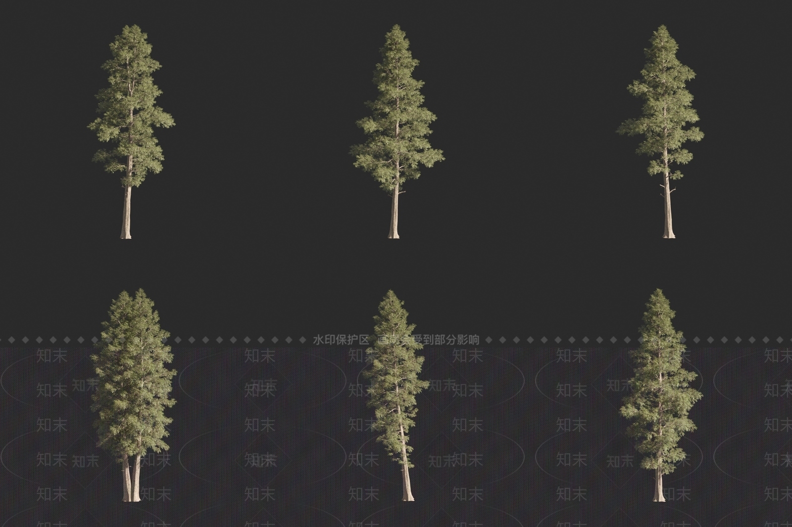 美国扁柏树3D模型下载【ID:1160798615】