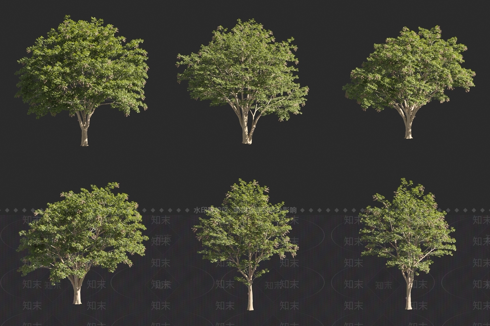 梧桐3D模型下载【ID:1160798913】