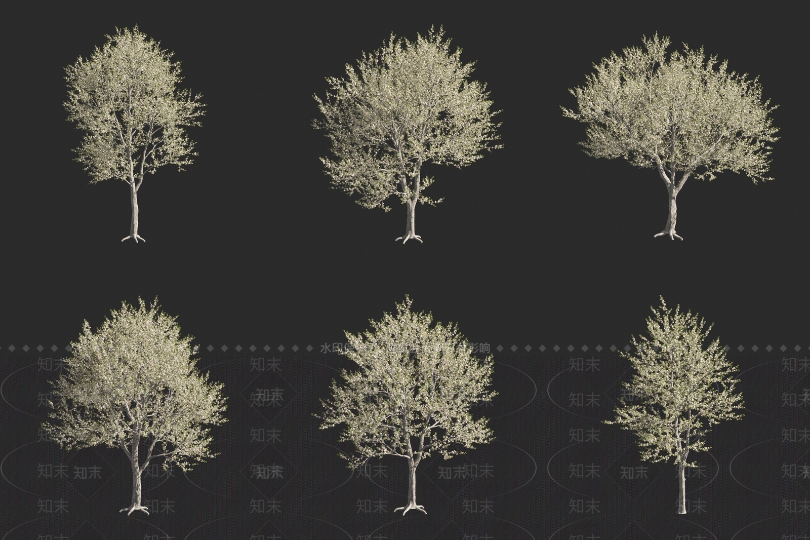 欧洲甜樱桃树3D模型下载【ID:1160800000】