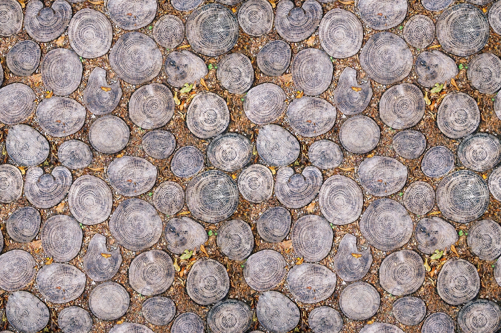 无缝自然碎石木桩地面贴图下载【ID:1160805432】