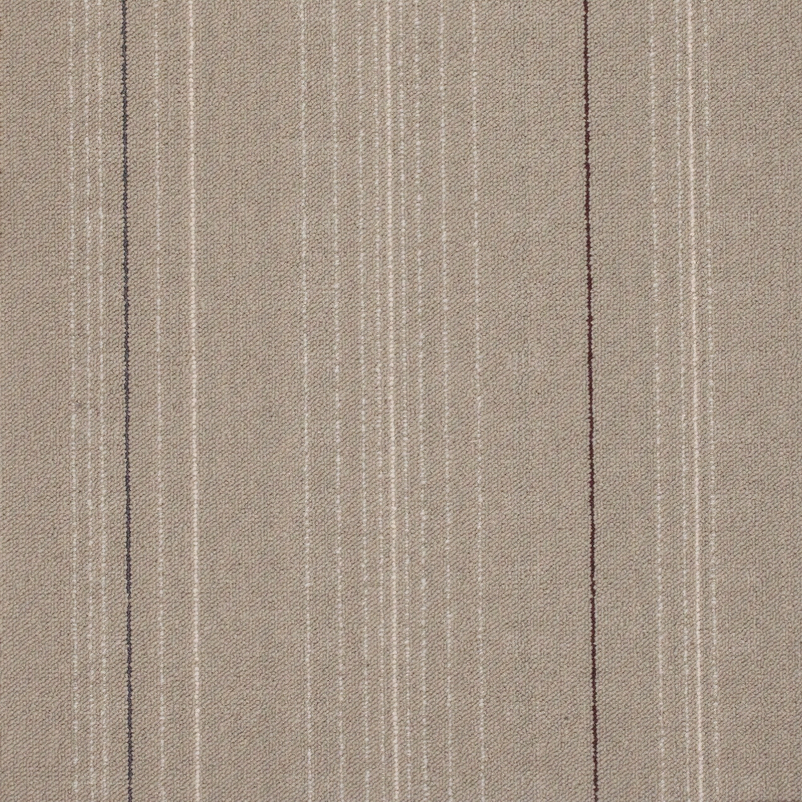 办公地毯客房地毯工装地毯贴图下载【ID:1160811957】