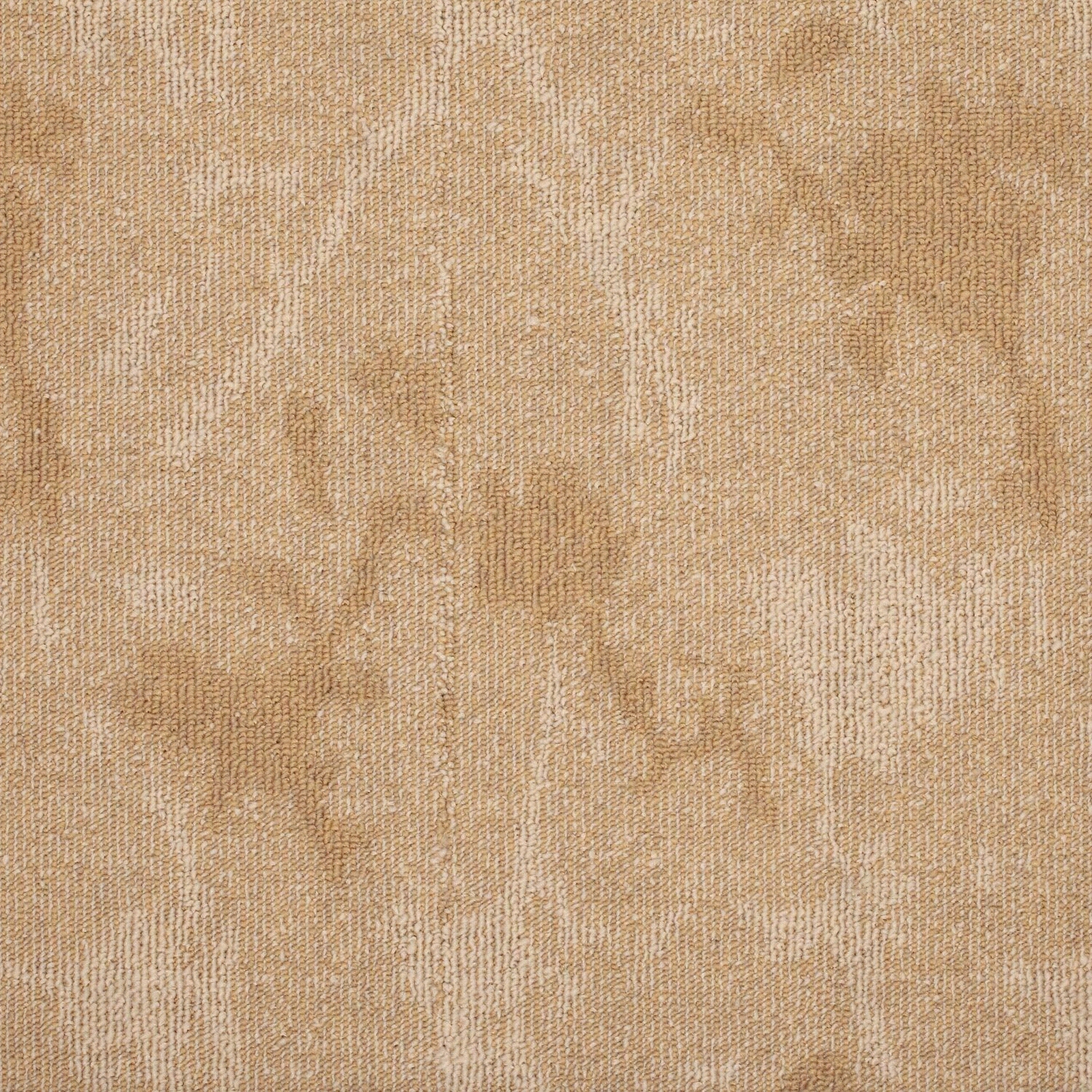 办公地毯客房地毯工装地毯贴图下载【ID:1160812293】