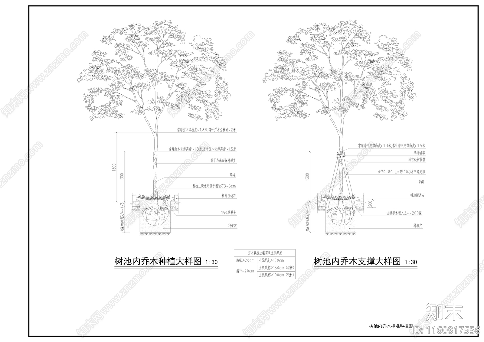 市政道路横断面做法施工图下载【ID:1160817556】