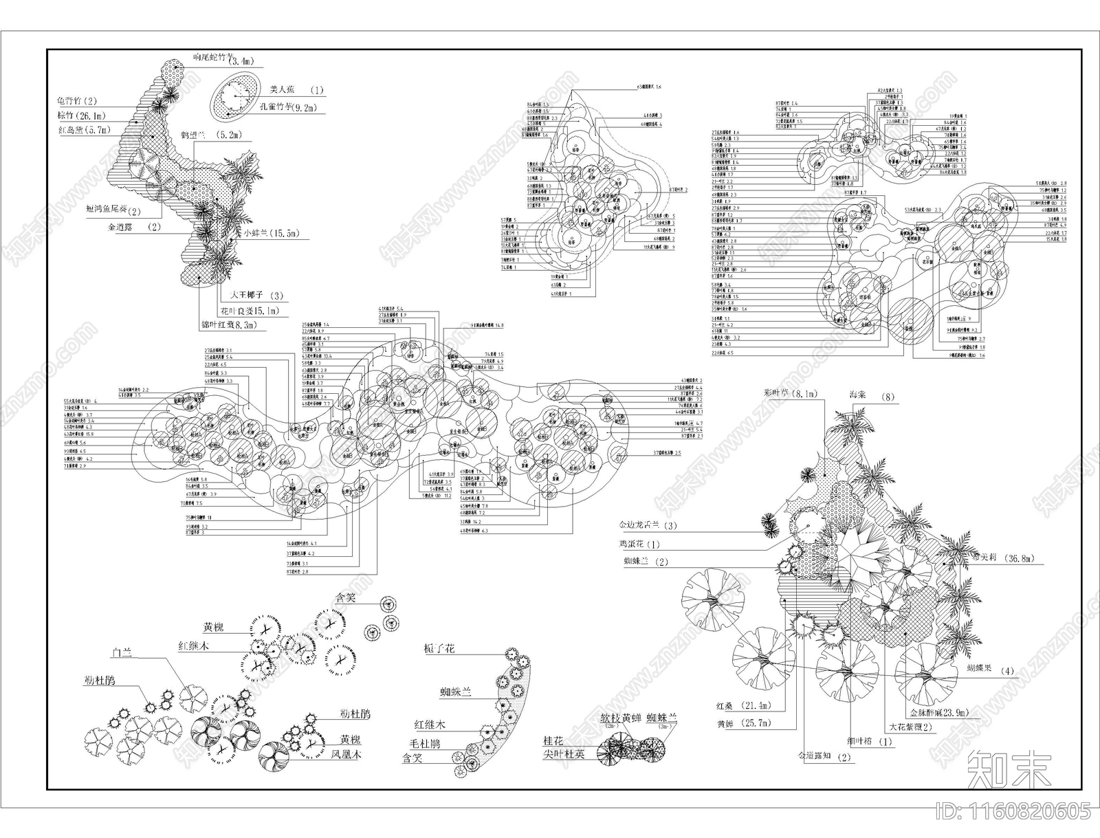 植物组团搭配施工图下载【ID:1160820605】