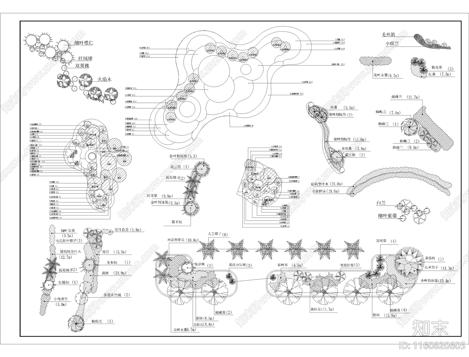 植物组团搭配施工图下载【ID:1160820605】