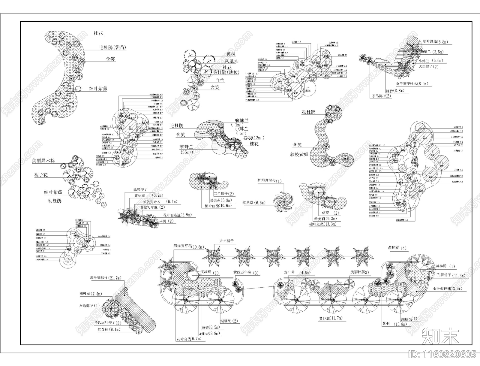植物组团搭配施工图下载【ID:1160820605】