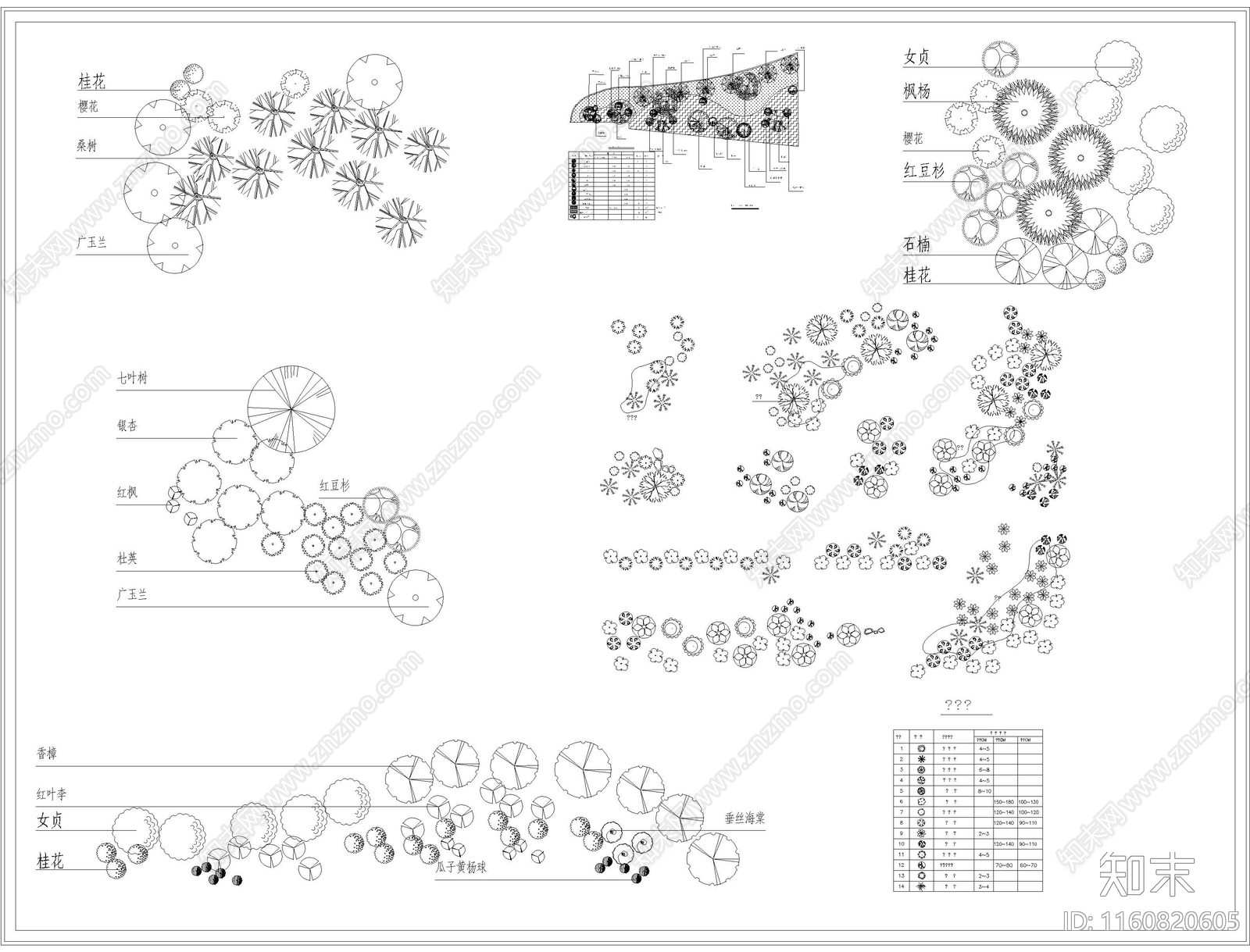植物组团搭配施工图下载【ID:1160820605】