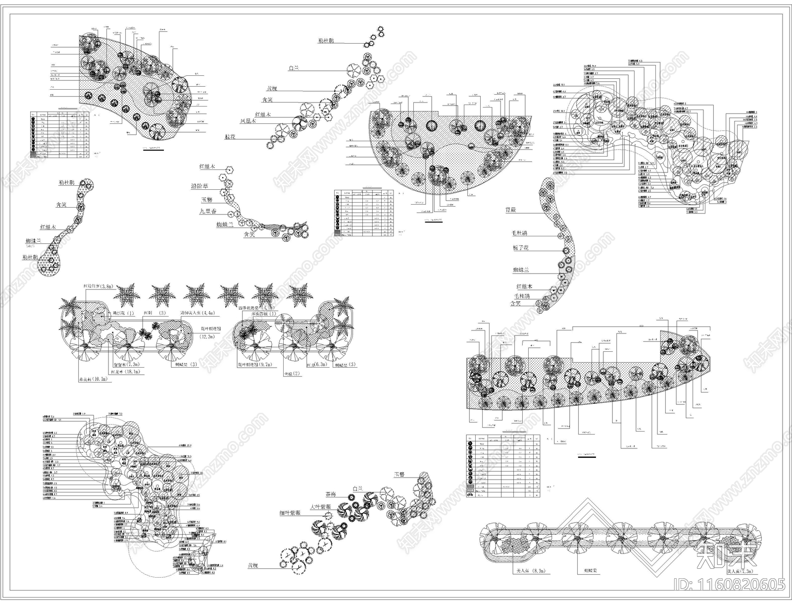 植物组团搭配施工图下载【ID:1160820605】
