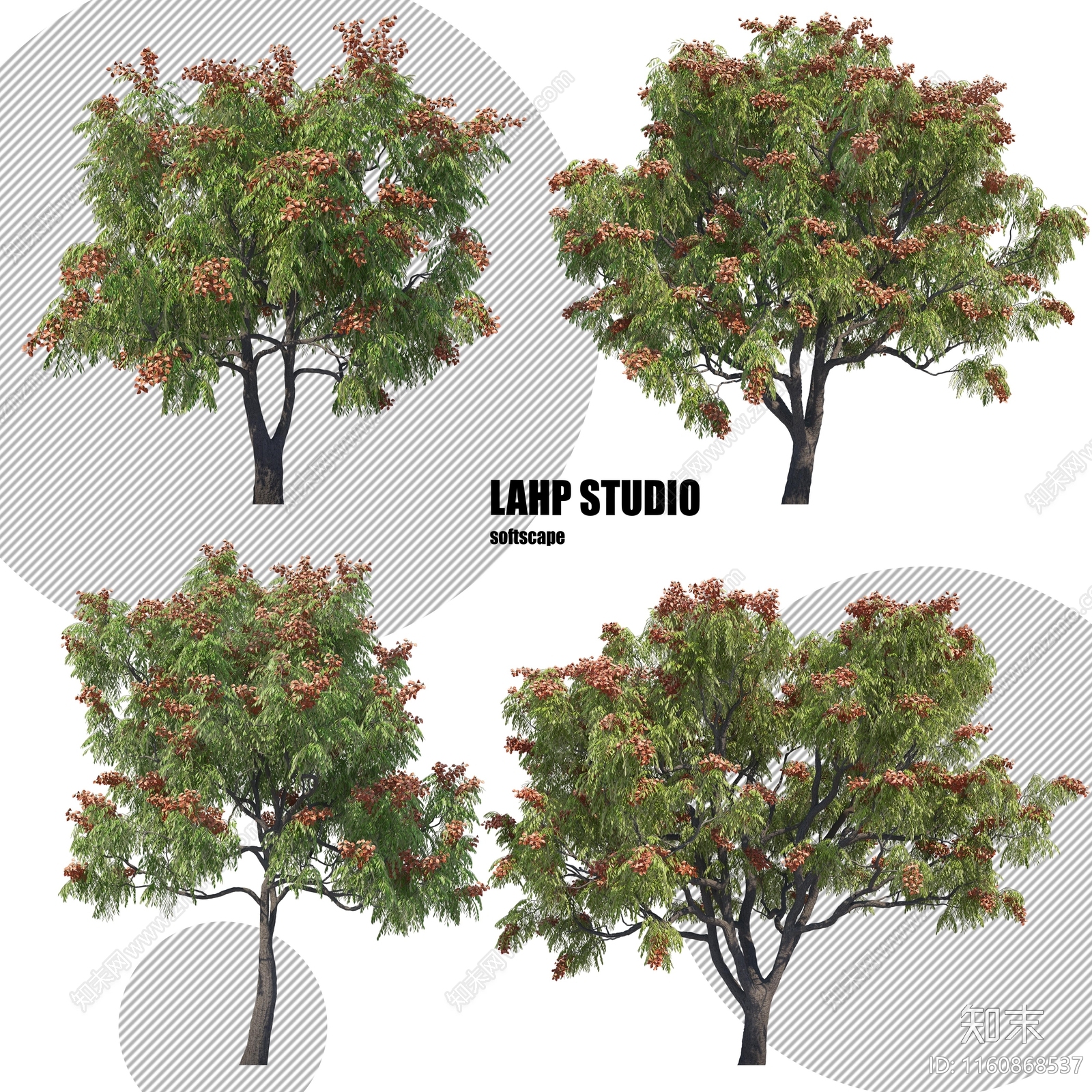 热带植物设计素材精品下载_知末网