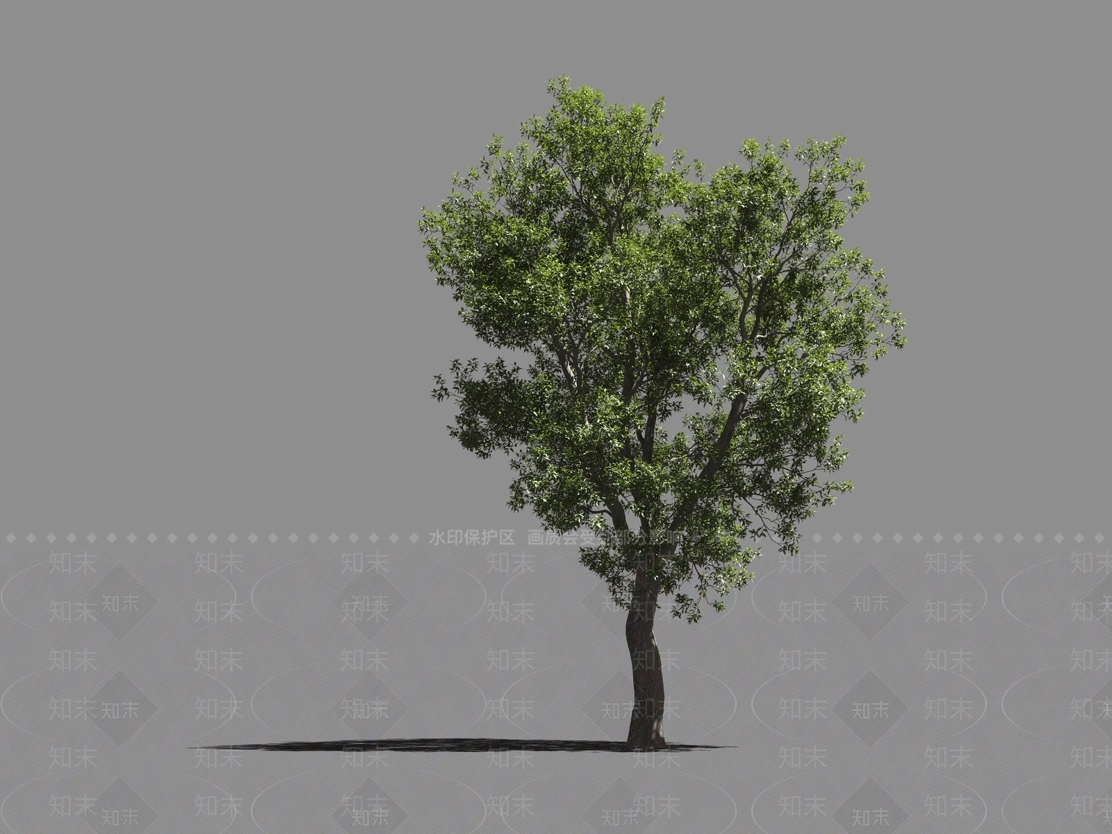 现代乔木3D模型下载【ID:1160906059】
