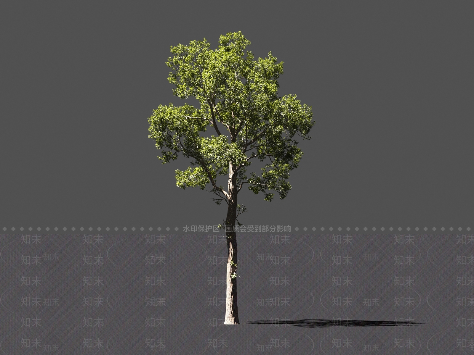 现代乔木3D模型下载【ID:1160906305】