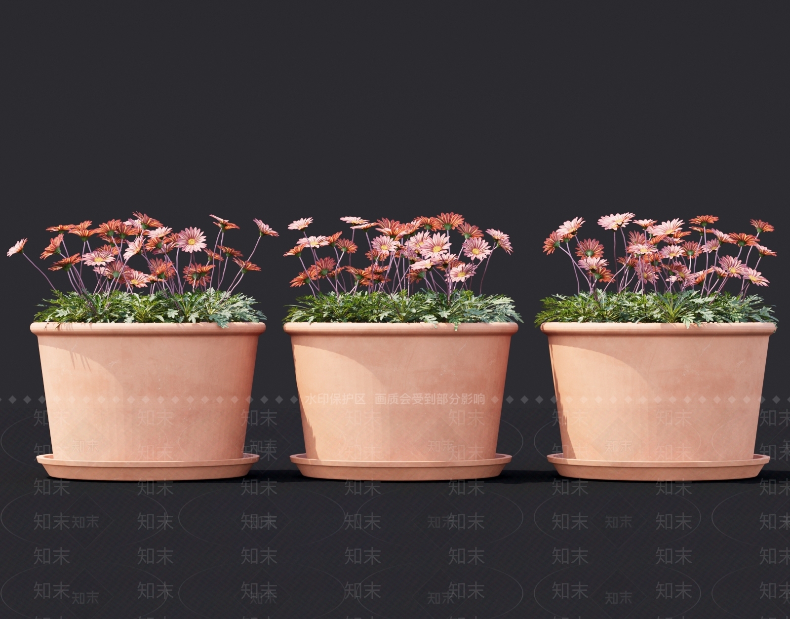 蒲公英灌木花3D模型下载【ID:1160923477】