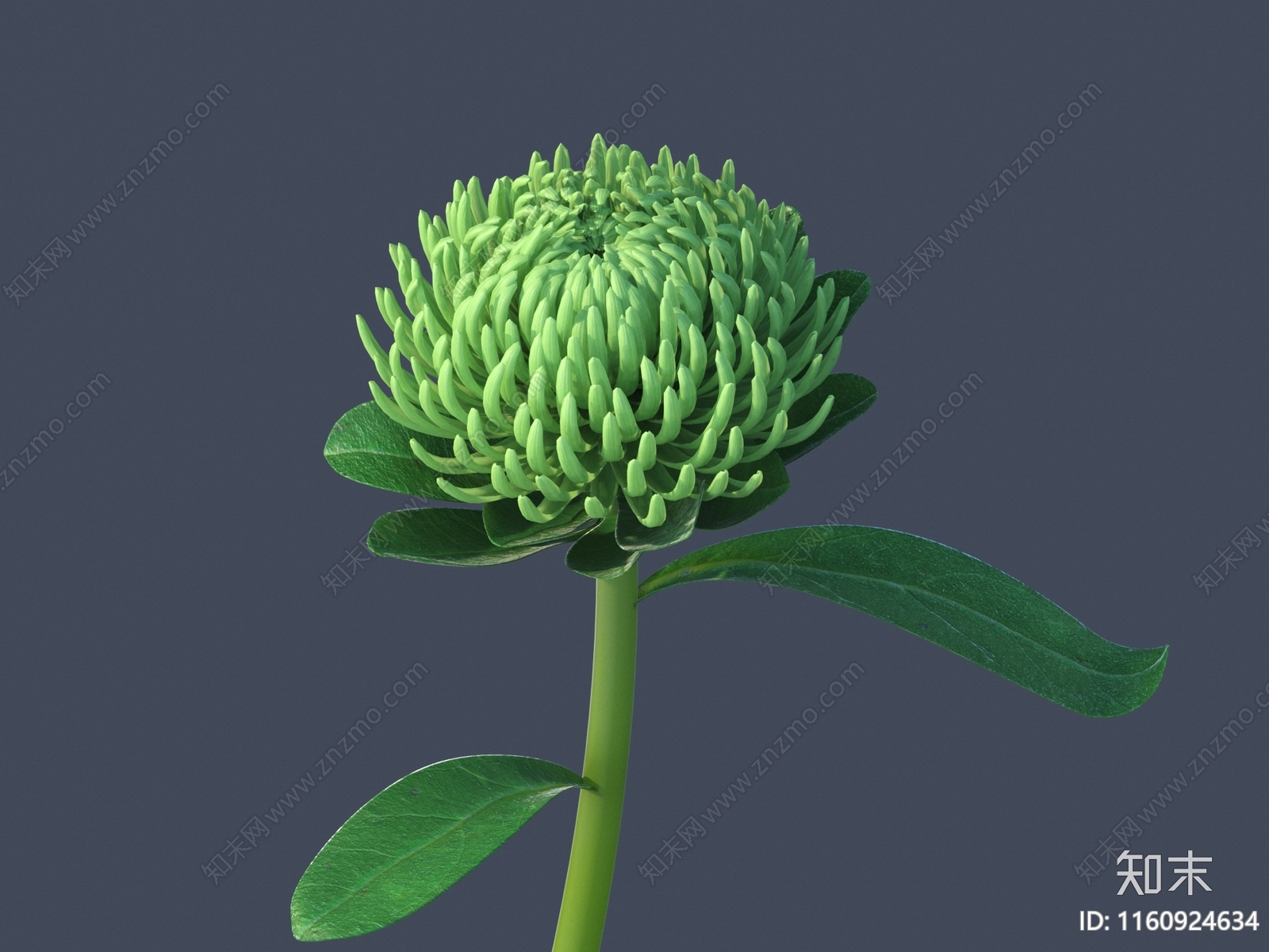 花3D模型下载【ID:1160924634】