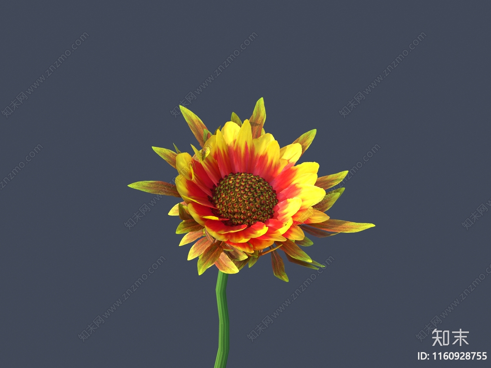 花3D模型下载【ID:1160928755】