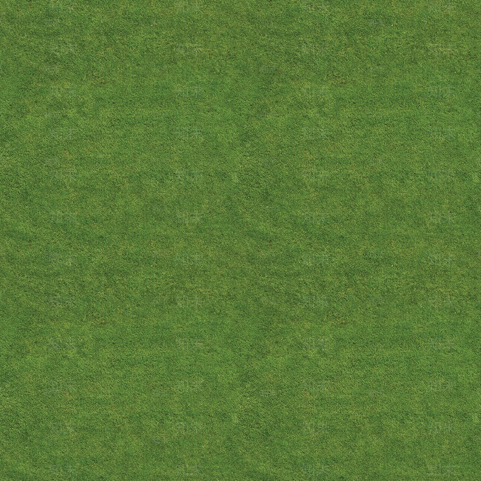 无缝园林庭院景观绿色草坪草地草皮地面贴图下载【ID:1160929627】