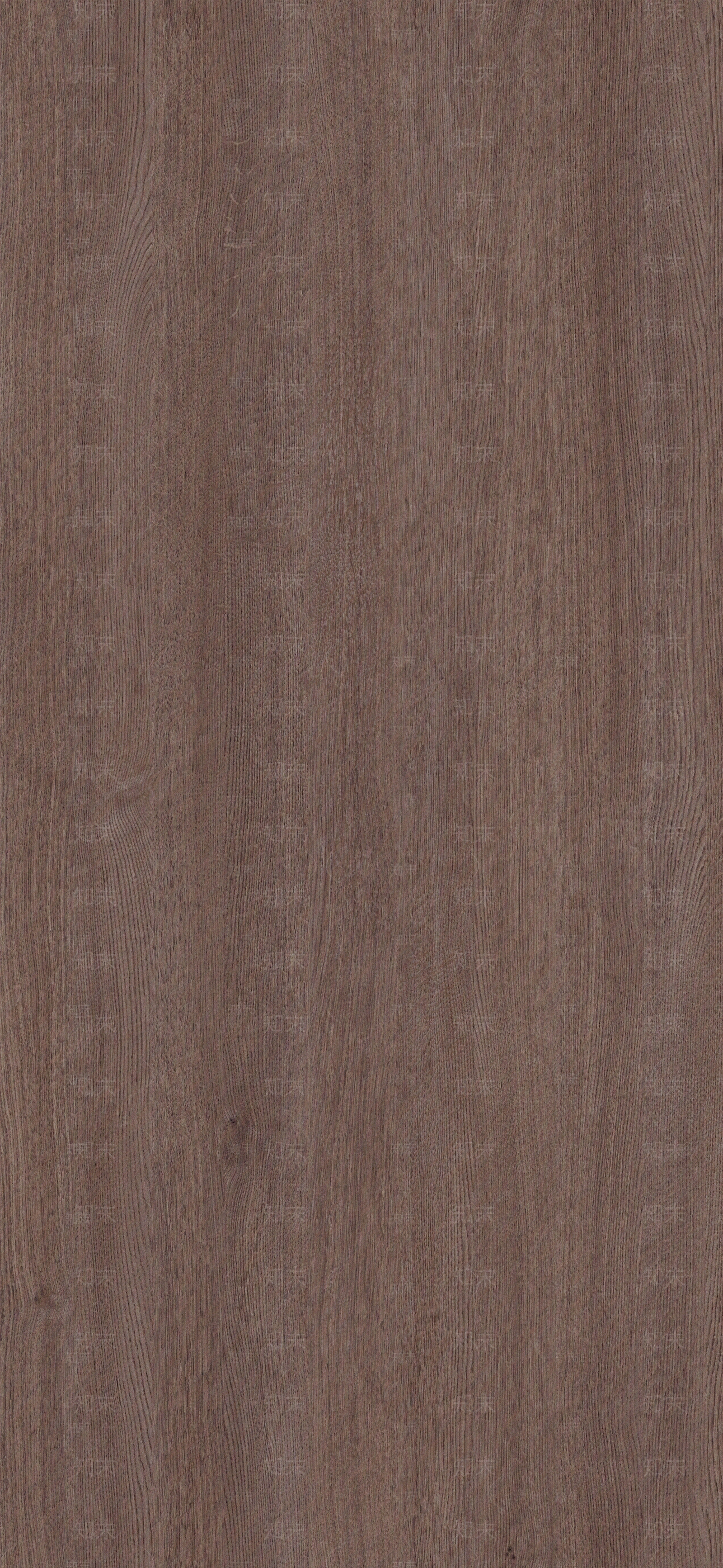 棕色橡木贴图下载【ID:1160936789】