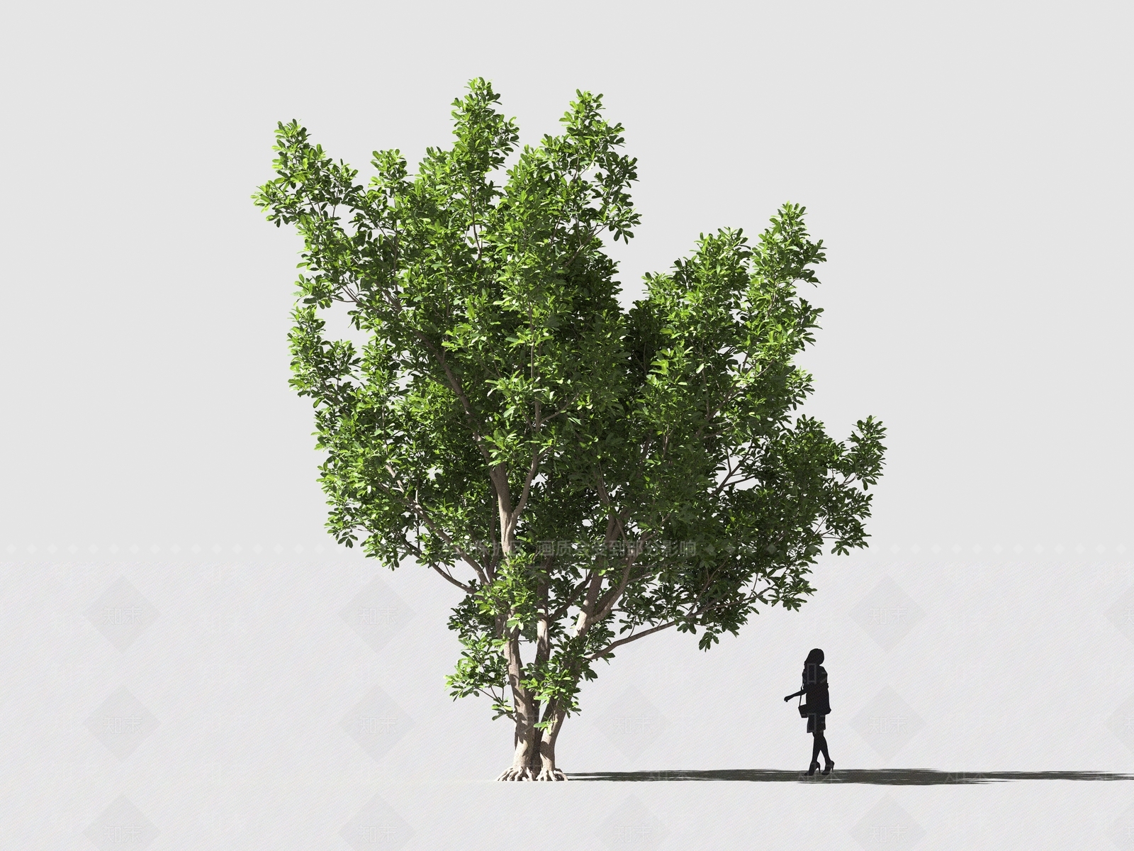 现代乔木3D模型下载【ID:1160946745】