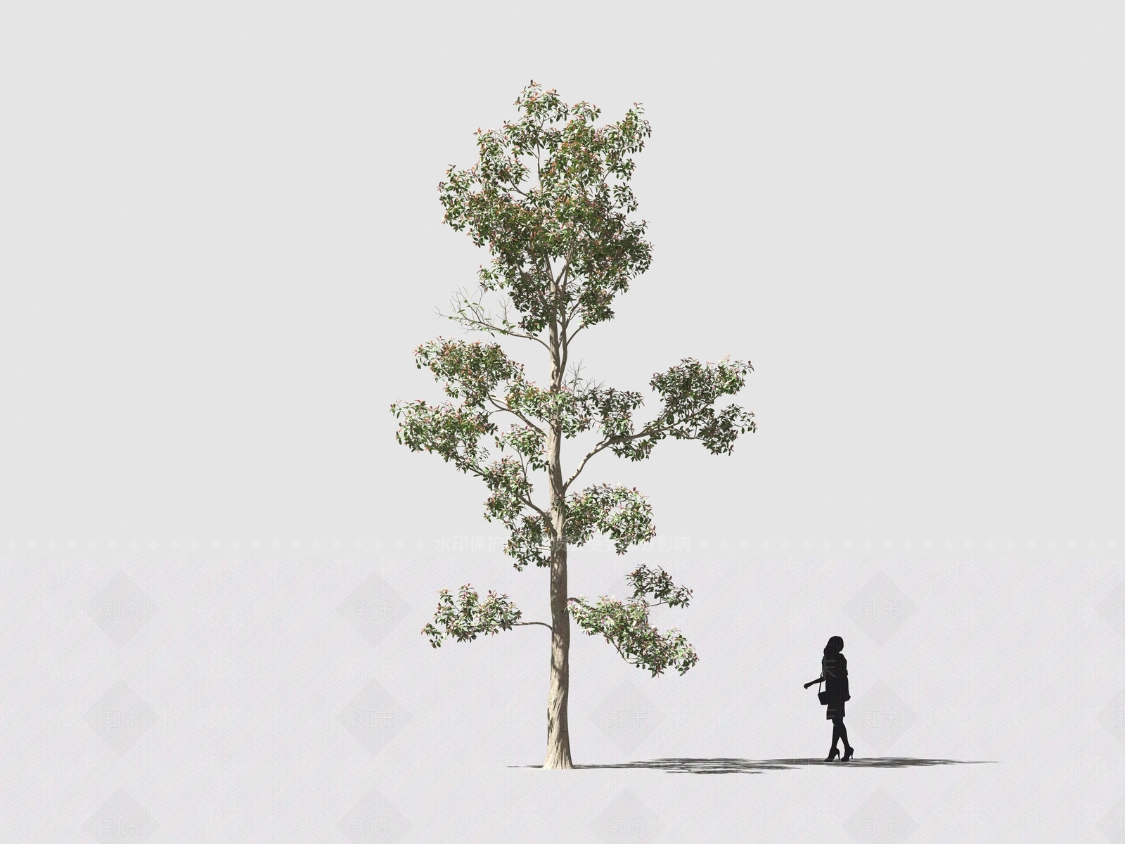 现代乔木3D模型下载【ID:1160947323】
