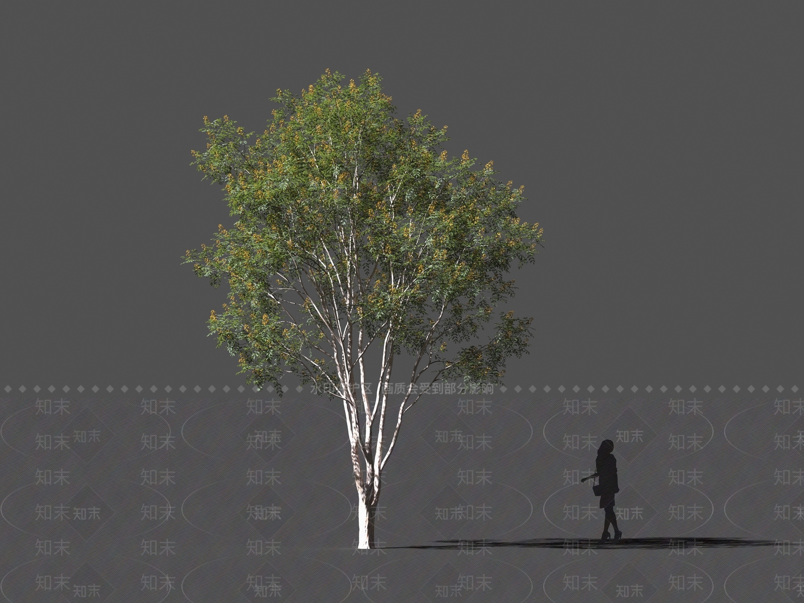 现代乔木3D模型下载【ID:1160948094】