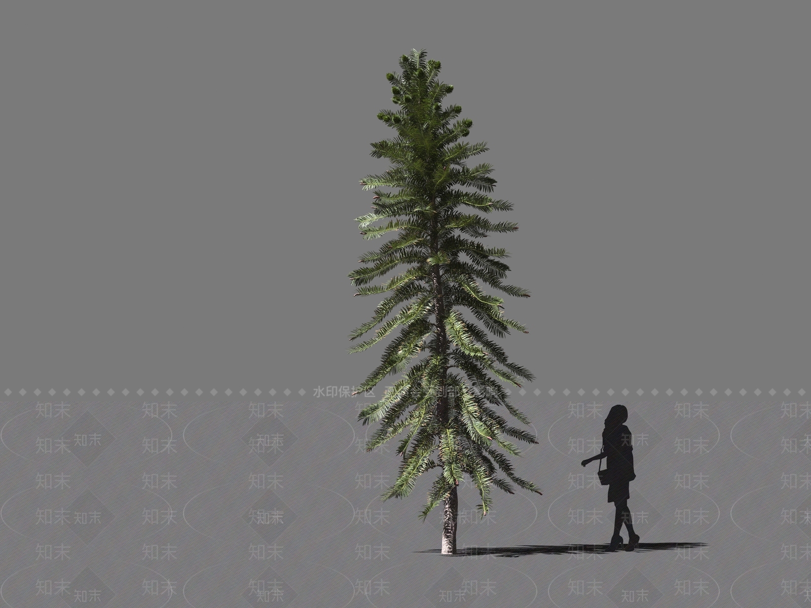现代乔木3D模型下载【ID:1160954983】