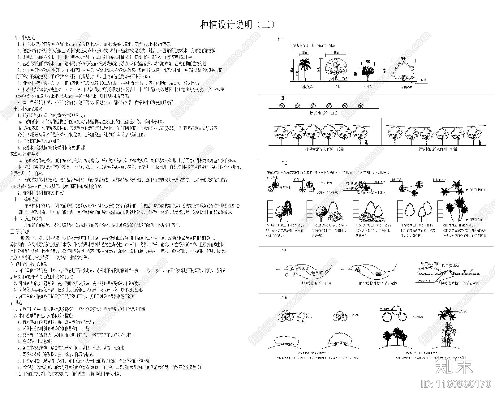 景观种植说明cad施工图下载【ID:1160960170】