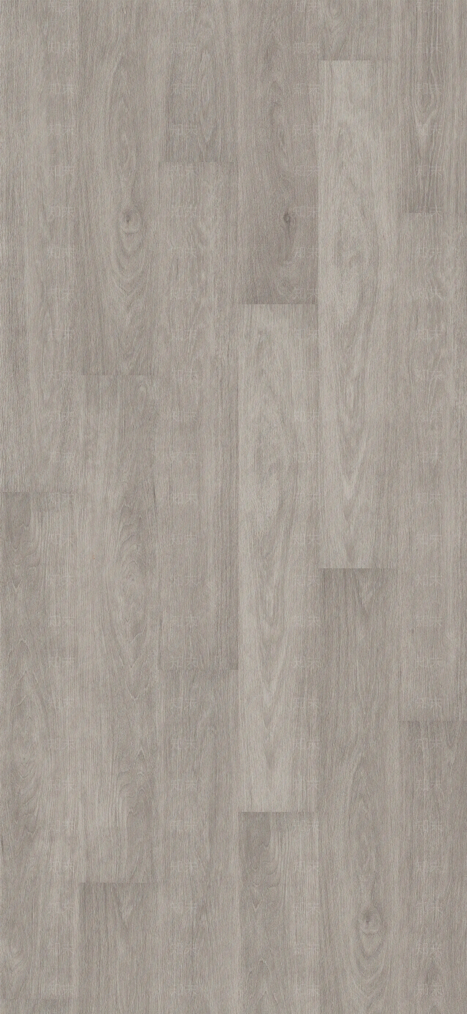 珍珠橡木贴图下载【ID:1160965085】