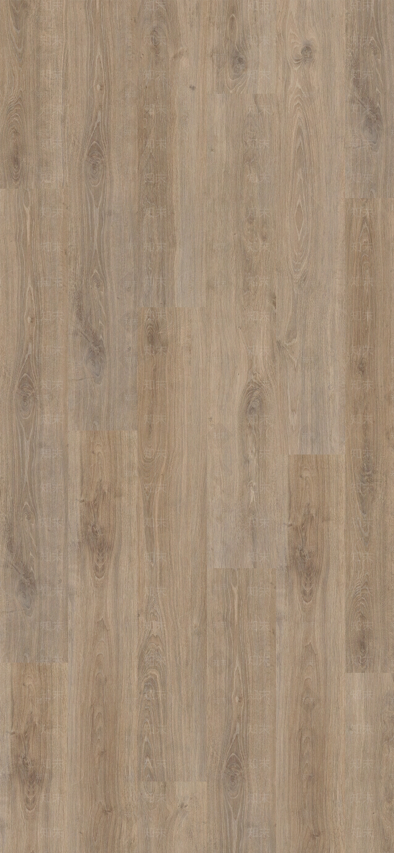 U河橡木贴图下载【ID:1160966280】