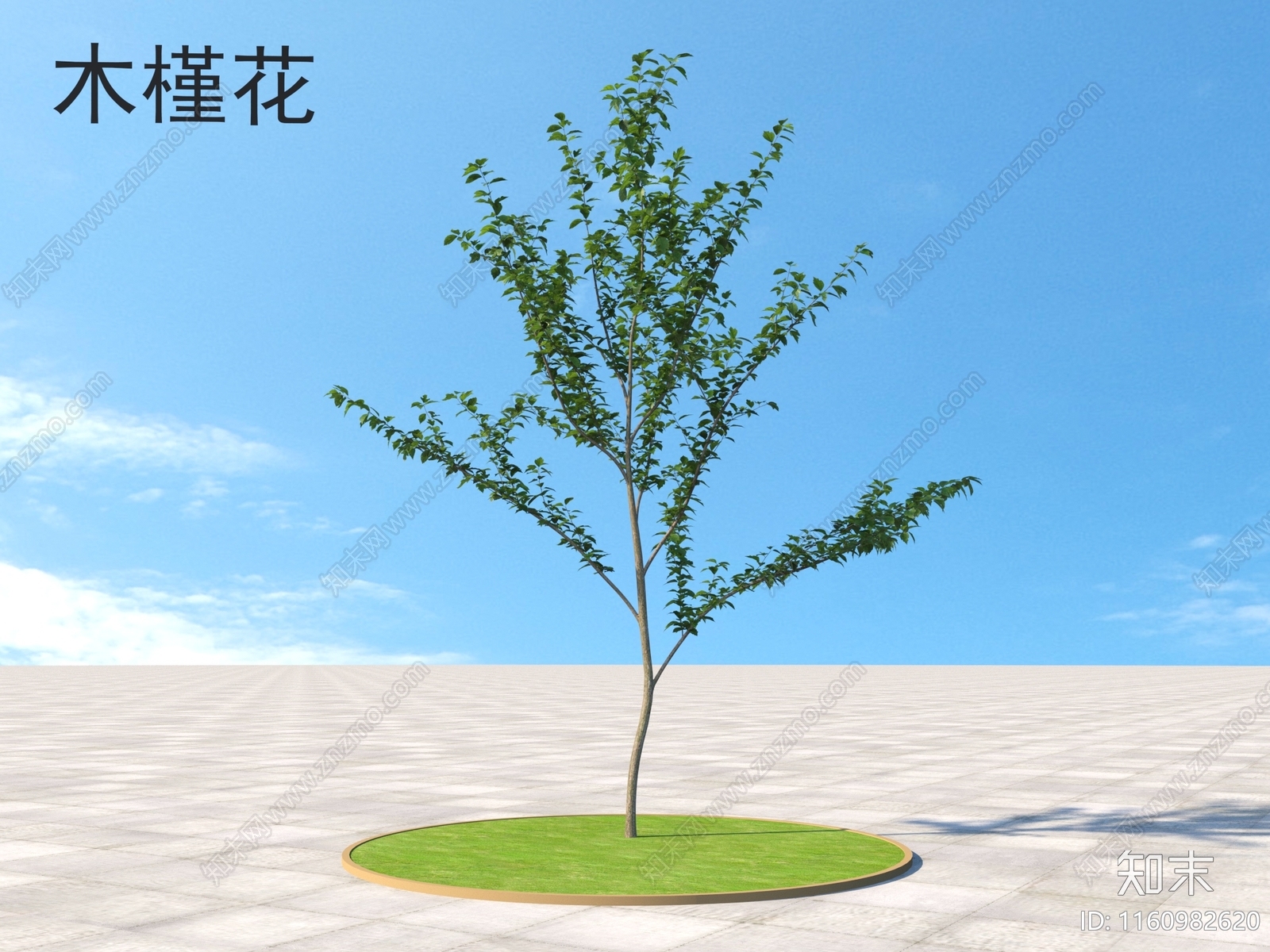 木槿花3D模型下载【ID:1160982620】